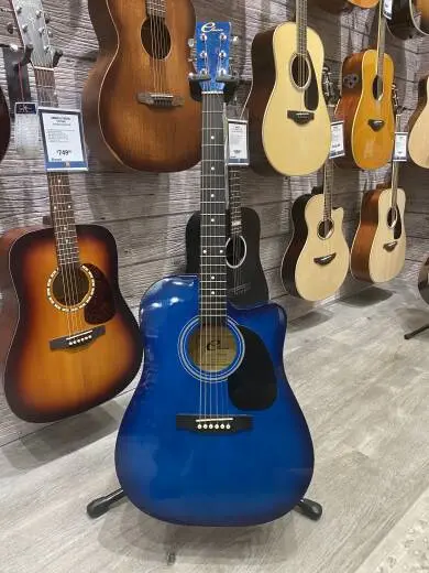 Eleca Acoustic Guitar